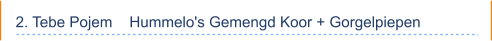 2. Tebe Pojem    Hummelo's Gemengd Koor + Gorgelpiepen